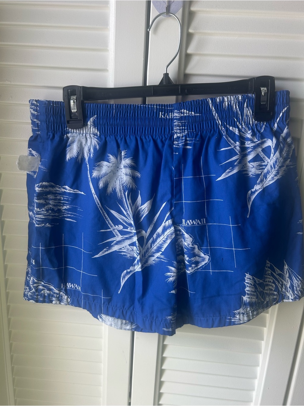 Men's Blue Hawaiian Print Swim Board Shorts